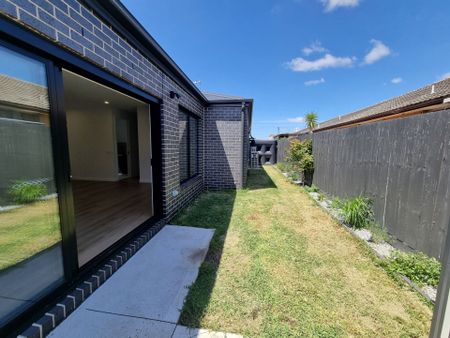 1 Year Old! - Photo 2