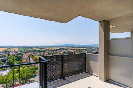 Heizung, Strom, Internet+TV & Fitness inklusive! Serviced Apartment im TABA Tower! - Photo 5