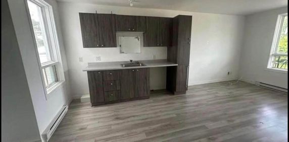 Logement rénové Shawinigan - Photo 2