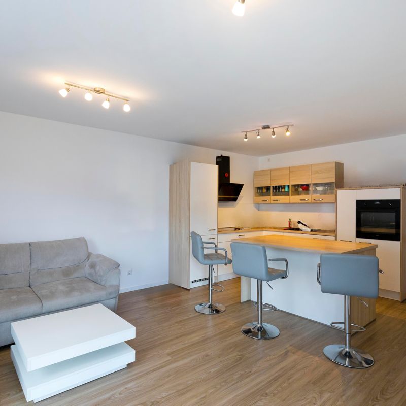 Junge 3-Zi.-Mietwohnung mit Stellplatz im BI-Westen! - Foto 1