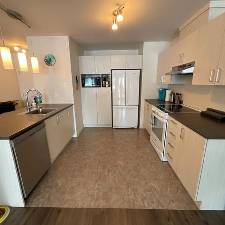 2 CH - 1 SDB - Lévis - $1,250 /mo - Photo 3