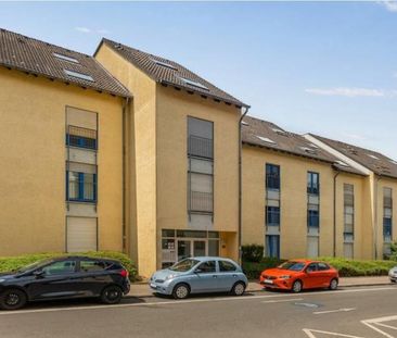 Ruhige 1-Zimmer-Wohnung EG mit Stellplatz und Grünblick in Essen - Photo 5