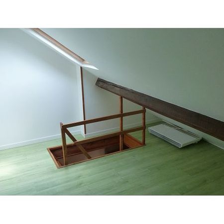 Location Appartement 1 pièce 21m² REIMS 51100 - Photo 3