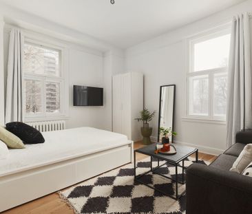 Château St-Louis Loft Studio Entièrement Meublé à Louer Montcalm / ... - Photo 1
