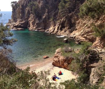 Palamós - Foto 4