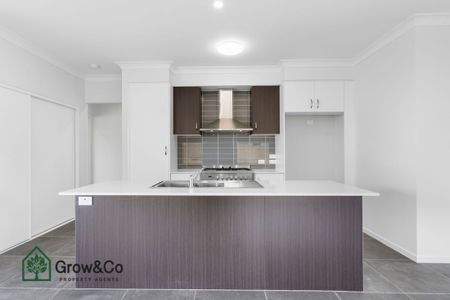 BRAND NEW 4 BED HOME - GREAT FULLY FENCED BACKYARD - Photo 2