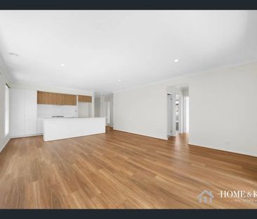 Spacious Modern Family Living in Beveridge - Photo 4