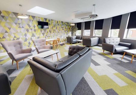 Bronze Studio Premium - Photo 3