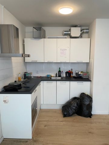 Tuinbouwstraat, Noorderplantsoenbuurt, Oranjewijk, Oude wijken, Groningen, Nederland, 9717 JJ, Nederland - Foto 2