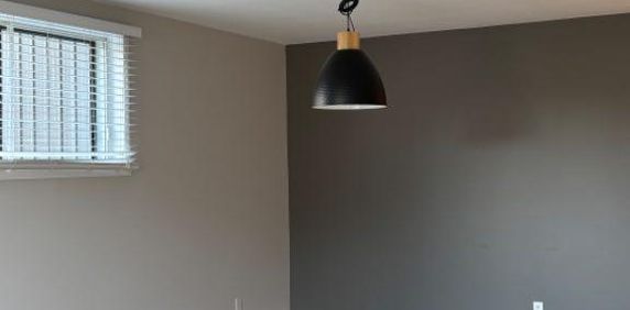 LÉVIS GRAND 4 1/2, STYLE CONDO, SECTEUR DESJARDINS * Disponible dès maintenant - Photo 2