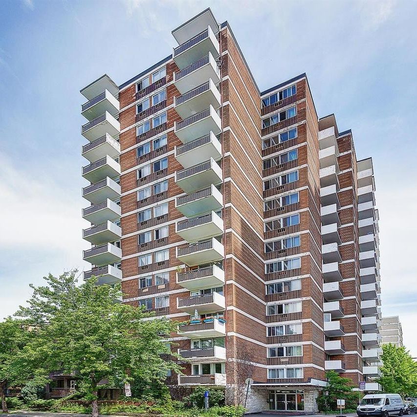 1 Bedroom - 3505 Sainte-Famille,, Montréal - Photo 1