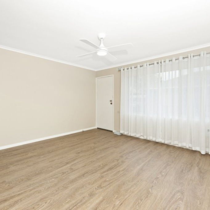 Updated Two Bedroom Unit in Brown Hill - Photo 1