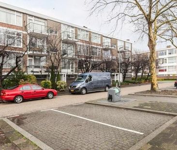 Rijnvoorde 0ong, 3085 TH Rotterdam, Nederland - Foto 1