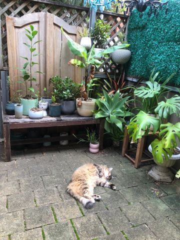 Erskineville - Photo 2