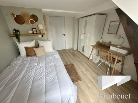 Appartement à louer, 1 pièce - Orléans 45000 - Photo 5