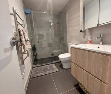 1 Bedroom mordern apartment - Handbag dog or Cat is welcome! - Photo 2