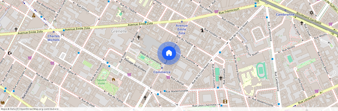 Rue Violet, entre Avenue Emile Zola et Rue du Commerce 75015 Paris (15e arrondissement)