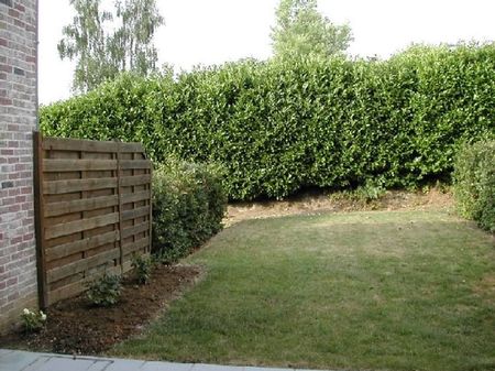 Huis te huur - Photo 2