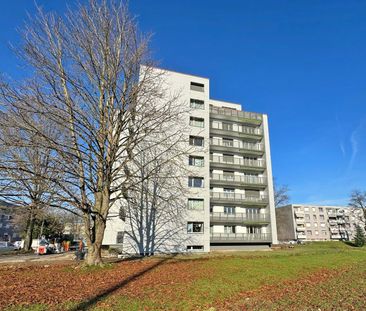 2.5 Zimmer, 51 m², 3. Stock - Foto 4