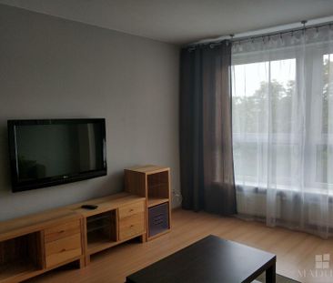 MIESZKANIE na WYNAJEM - Photo 2