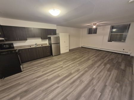 For Lease - 27 Bridge Street Unit# 107, Brantford, Ontario - Photo 5