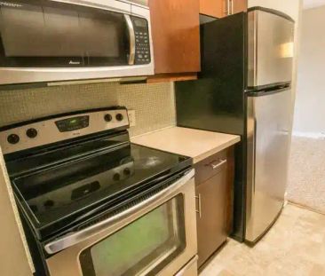 2 Bed 1 Bath Condo – 1030 Grant Avenue - October 1st- ALL UTILITIES... - Photo 1