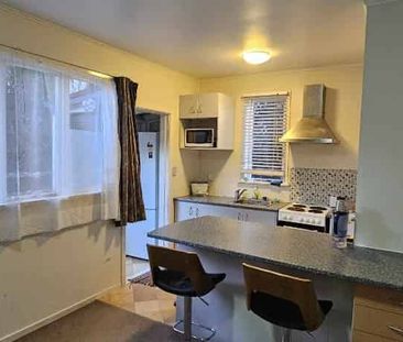 Mt Eden Wairiki road One bedroom - Photo 5