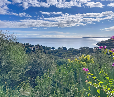 Location Appartement 2 pièces 38m² LE LAVANDOU 83980 - Photo 1