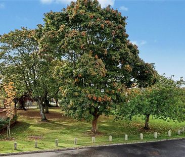 2 bedroom end of terrace house to rent - Photo 2