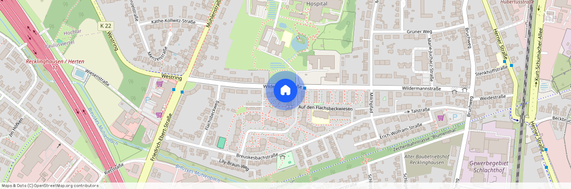 Wildermannstraße 28, 45659 Recklinghausen