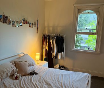 Surry Hills - Photo 3