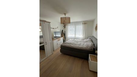 3½ Zimmer-Wohnung in Richterswil (ZH), möbliert, auf Zeit - Photo 2