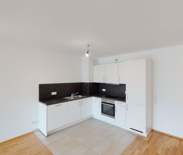 Für Singles & Paare - Zwei Zimmer zu vermieten! Mietfreien Monat si... - Photo 5