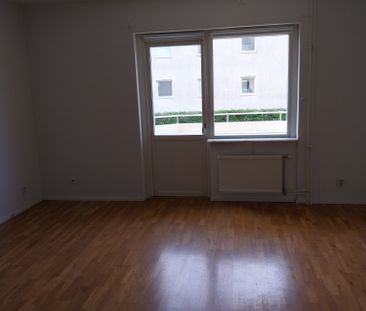 Petreplan 13A - Photo 4