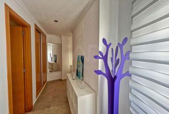 Alicante, Valencian Community 03710