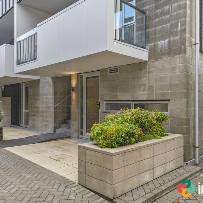 Stylish two-bedroom apartment puts you in the heart of the city. - Photo 1