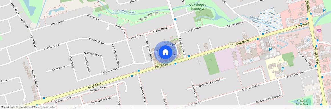 26 Banshee Lane, Richmond Hill