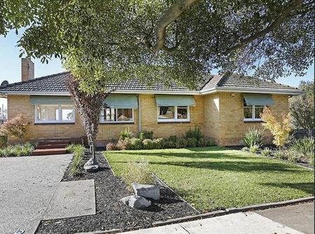 3 Cara Road, <p>Highton, VIC 3216</p> - Photo 5