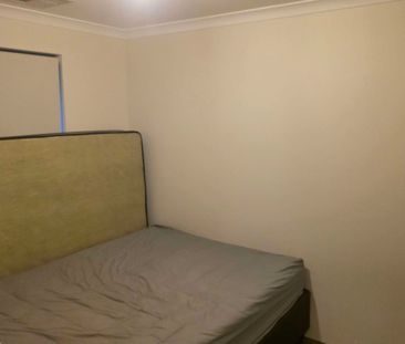 Seville Grove - Photo 5