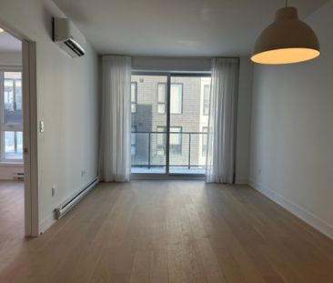 10130 Rue Lauraine-Vaillancourt, app.307, H3L 0B1, H3L 0B1, Montréal - Photo 6