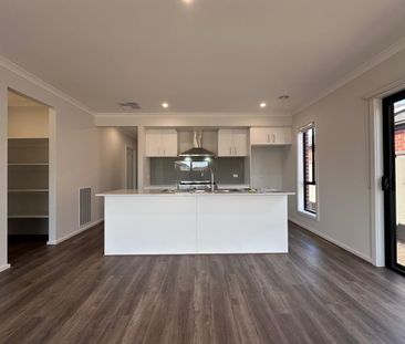 Brand New Stylish Family Home in Melton South - Photo 3