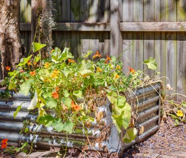 15 O'Neill Street, Lilyfield NSW 2040 - House For Rent | Domain - Photo 1