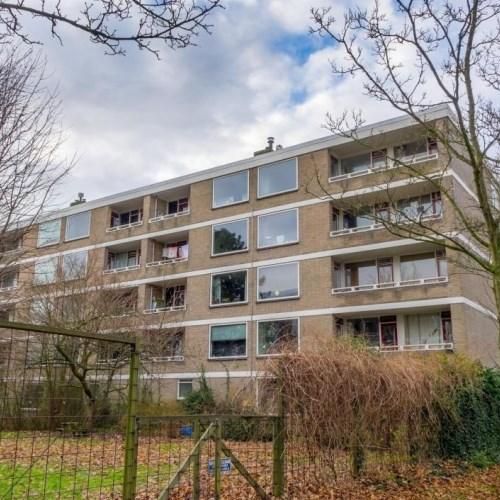 Cesar Franckstraat, 2324 JM Leiden, Nederland - Foto 1