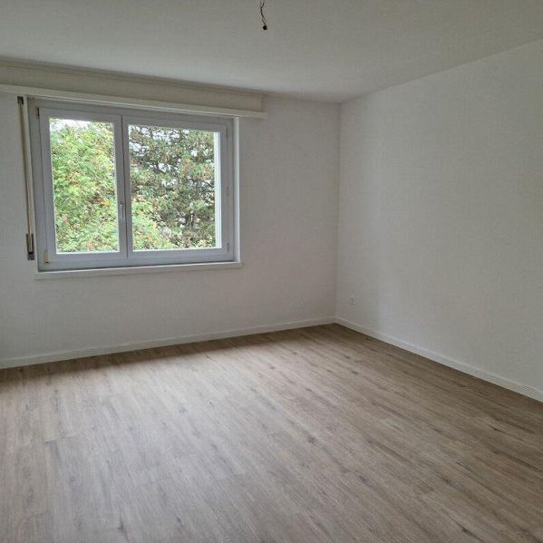 Wohnen im Grünen - leben zentral! - Photo 1