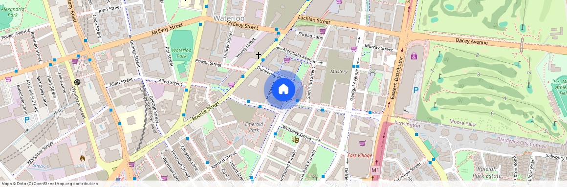 20 O'Dea Avenue, Sydney, New South Wales 2017