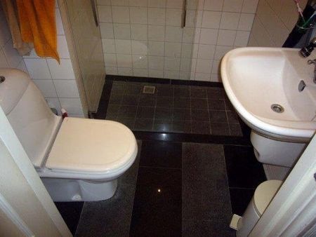 Te huur: Appartement Kleine Looiersstraat in Maastricht - Foto 3