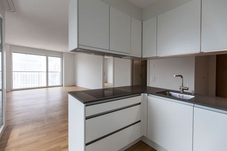 Vivere in un moderno 4.5 locali in zona tranquilla dal 16.02.2026 - Foto 3