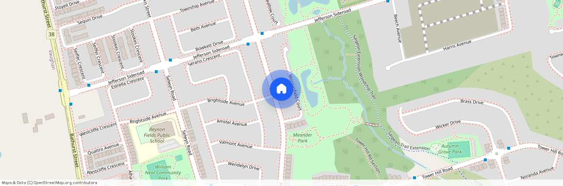 127 Alpaca Drive, Richmond Hill