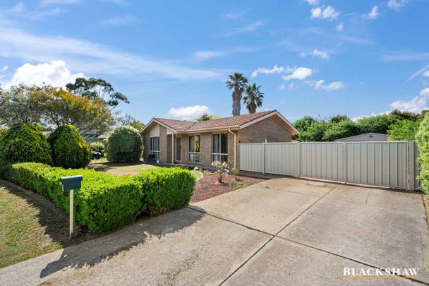 Family Home with a Spacious Low-Maintenance Yard - Photo 1