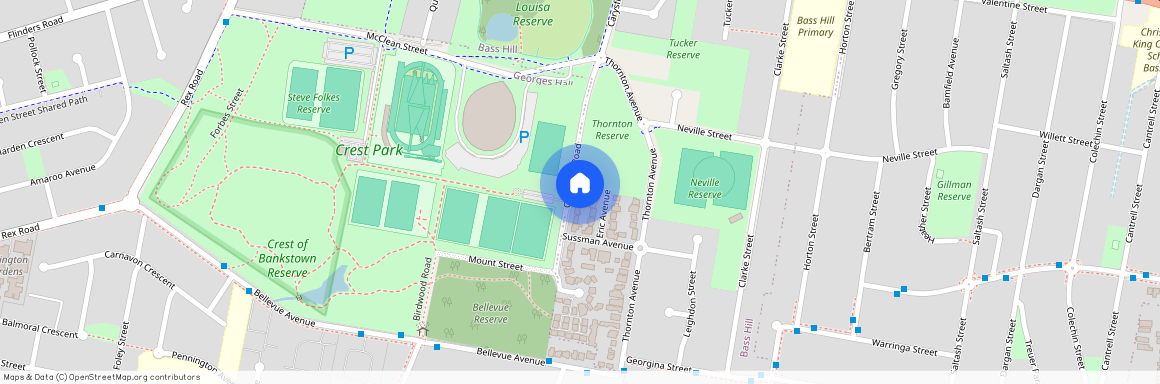 23 Carysfield Road, NSW 2197, Bass Hill